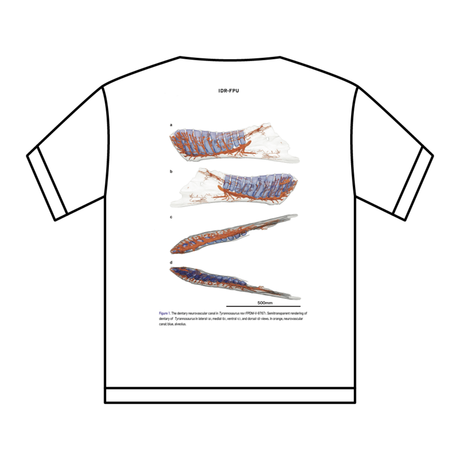 ʸT_Ron-ty-002WH