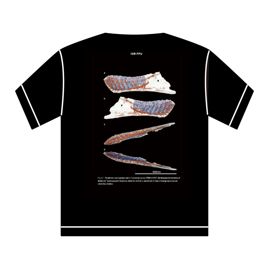 ʸT_Ron-ty-002BK